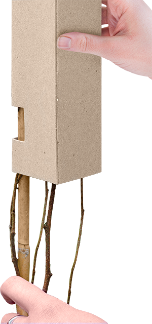 Hedge Guard image (3)