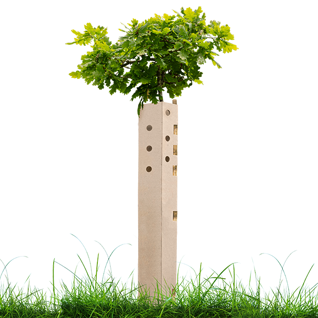 Tree Guard image (1)