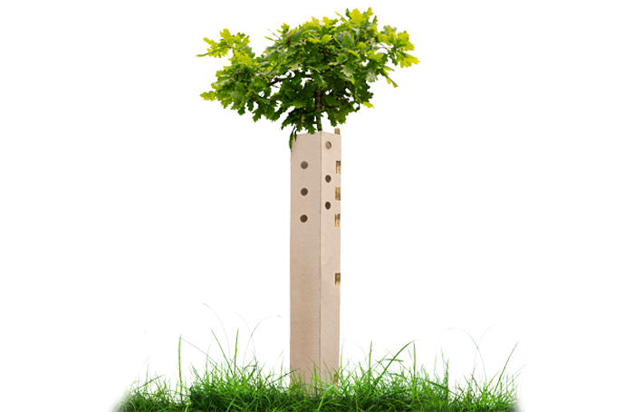 Tree Guard